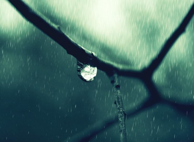 closeup, Water drops HD Wallpaper Desktop Background