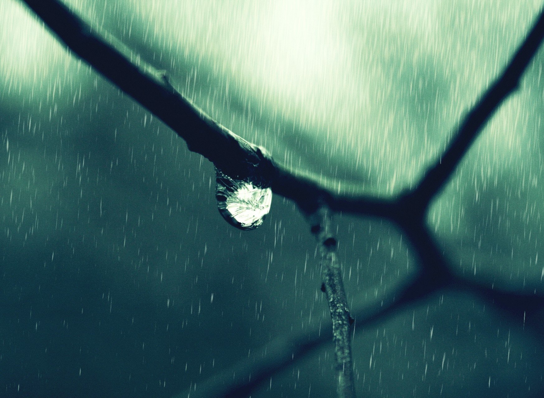 closeup, Water drops Wallpaper