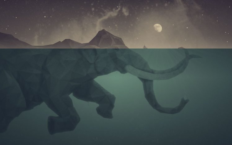 Elephant Hd Wallpapers Desktop And Mobile Images Photos