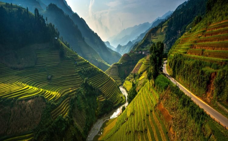 terraced field, Vietnam, Ha Giang HD Wallpaper Desktop Background