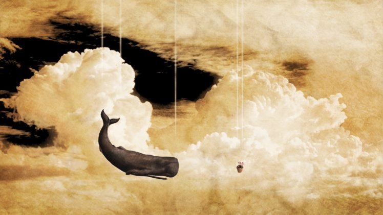 whale, Clouds, Petunias, The Hitchhiker&039;s Guide to the Galaxy HD Wallpaper Desktop Background