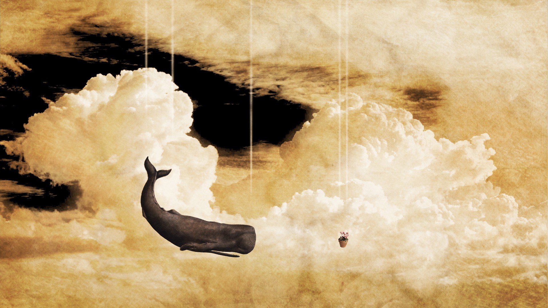 whale, Clouds, Petunias, The Hitchhiker&039;s Guide to the Galaxy Wallpaper