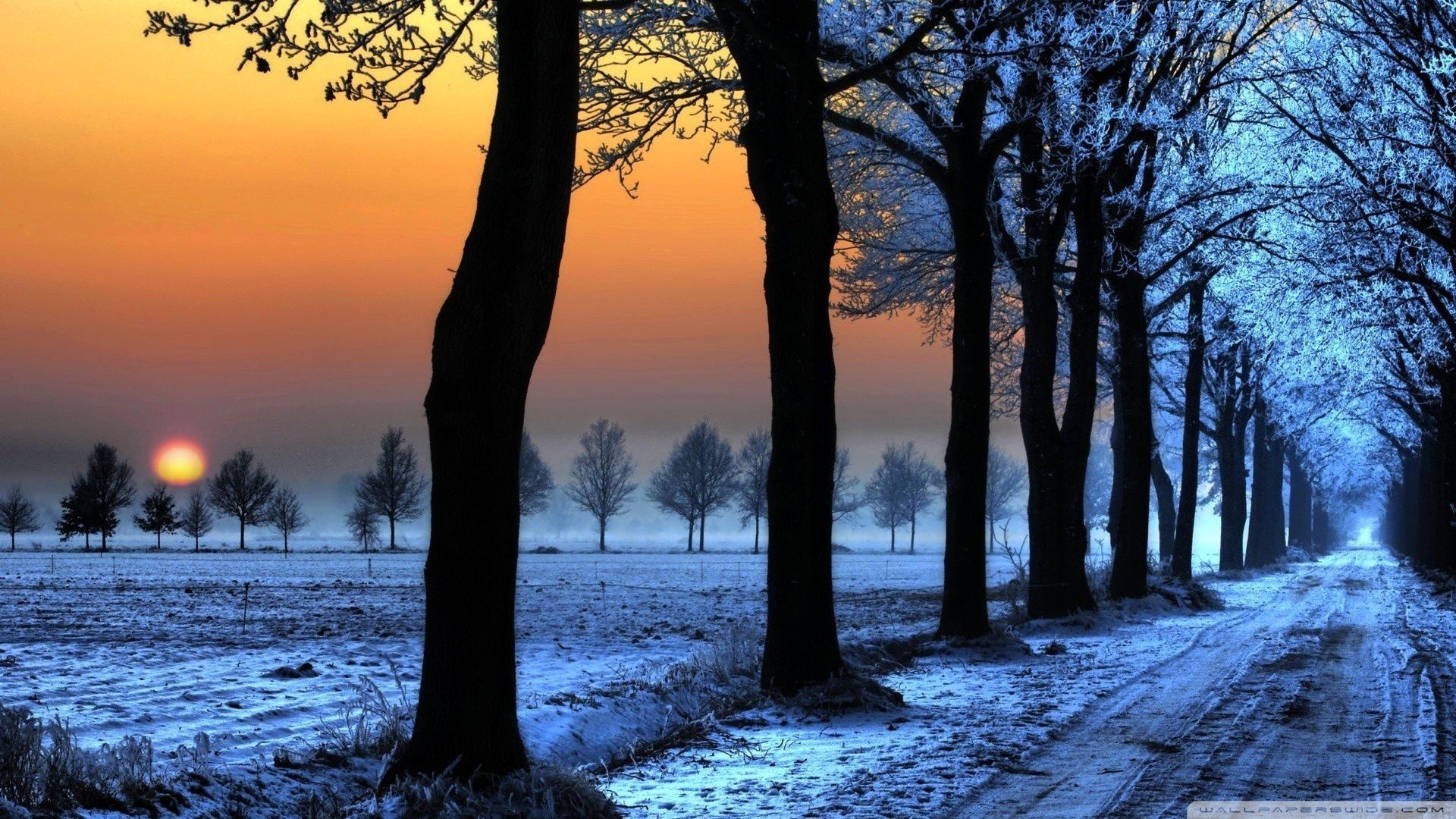 road, Sunset, Snow, Winter, Field, Trees Wallpaper