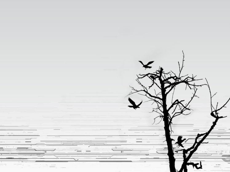 trees, Birds HD Wallpaper Desktop Background