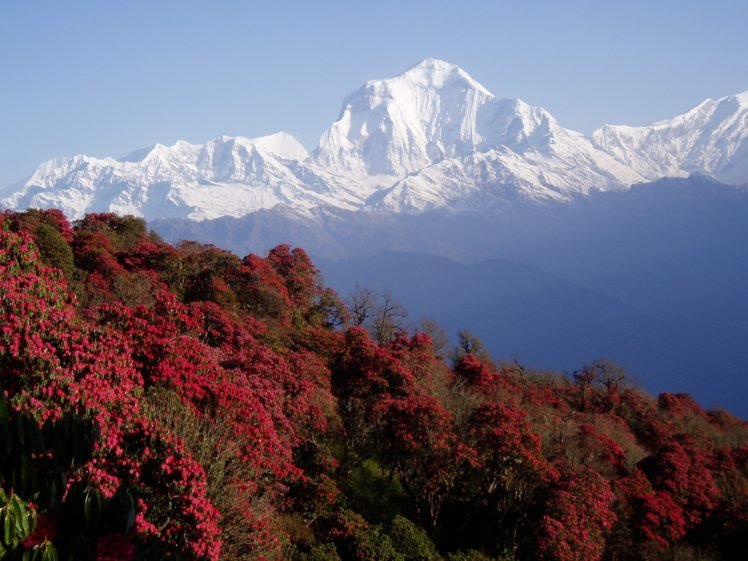 Nepal, Himalayas, Mountains HD Wallpaper Desktop Background