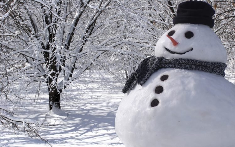 snowman, Snow, Winter, White HD Wallpaper Desktop Background