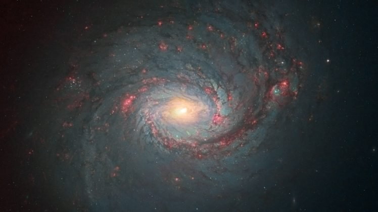 spiral galaxy, Galaxy HD Wallpaper Desktop Background