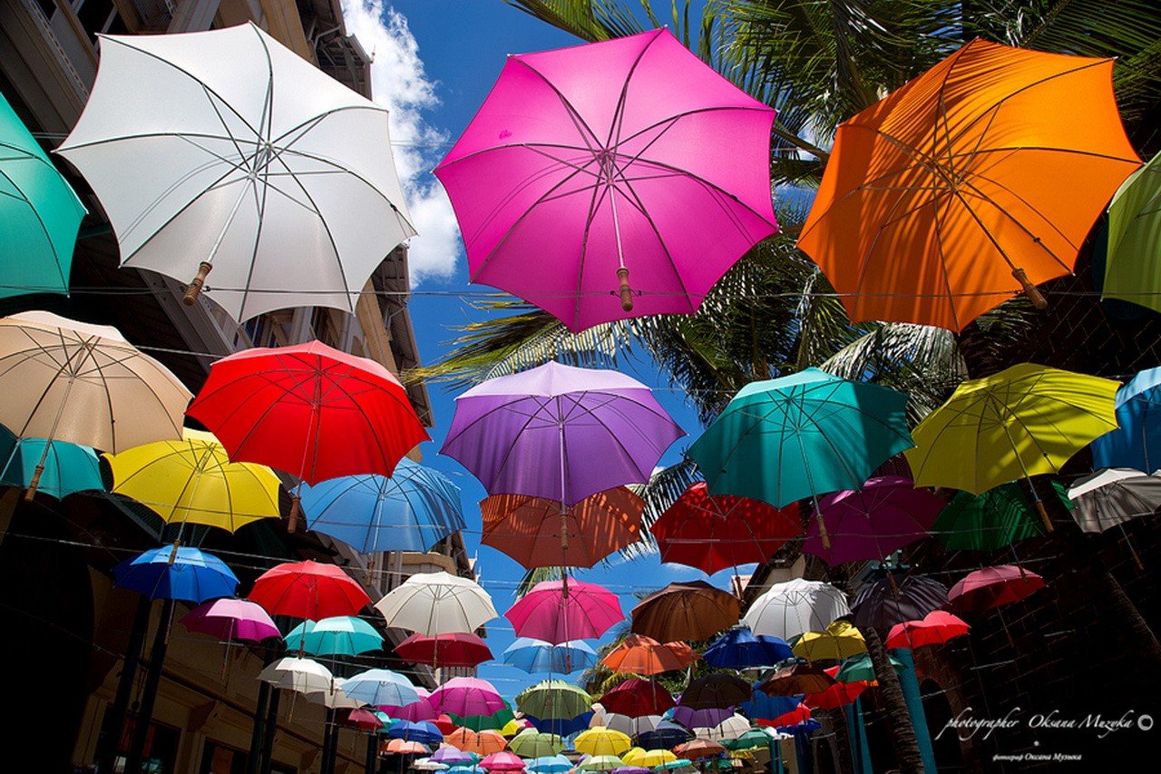 colorful, Umbrella Wallpaper
