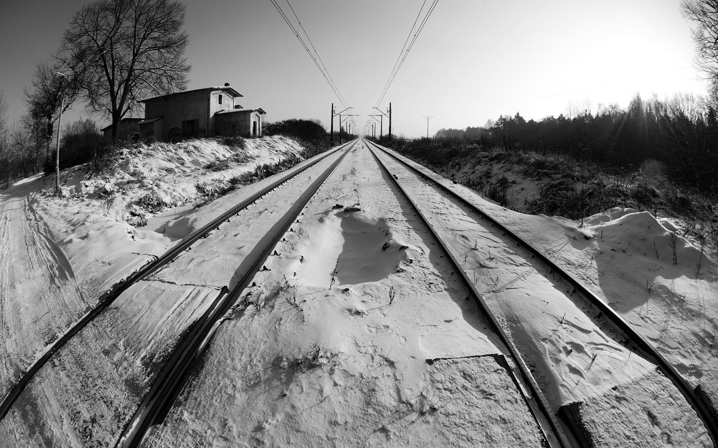 winter, Tracks, Railway, Snow, Black, White, Cold, Sun, Trees, Horizon, Depth of field, Inwardness Wallpaper