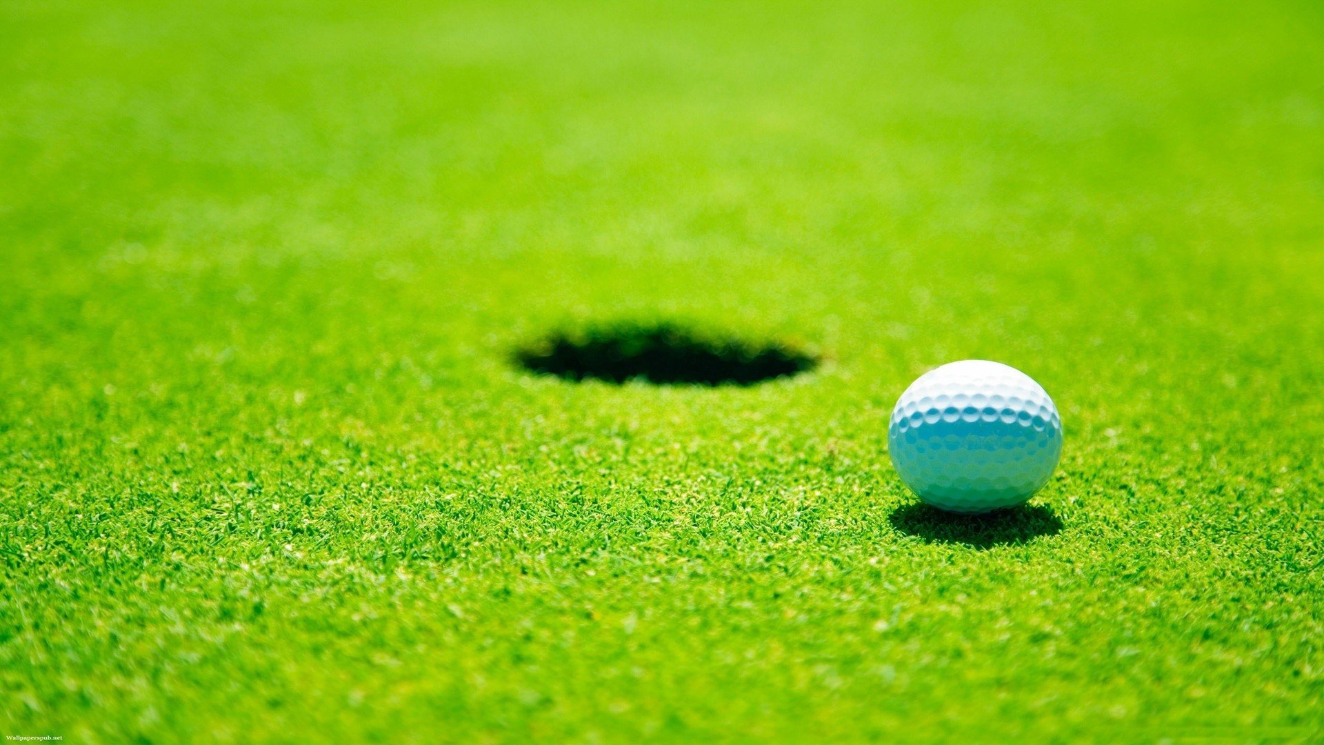 golf, Green, Field Wallpaper