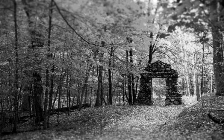 black, White, Ruin, Forest, Leaves, Trees, Fallen tree, Path, Gates HD Wallpaper Desktop Background