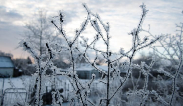 Russia, Winter, Snow, Closeup HD Wallpaper Desktop Background