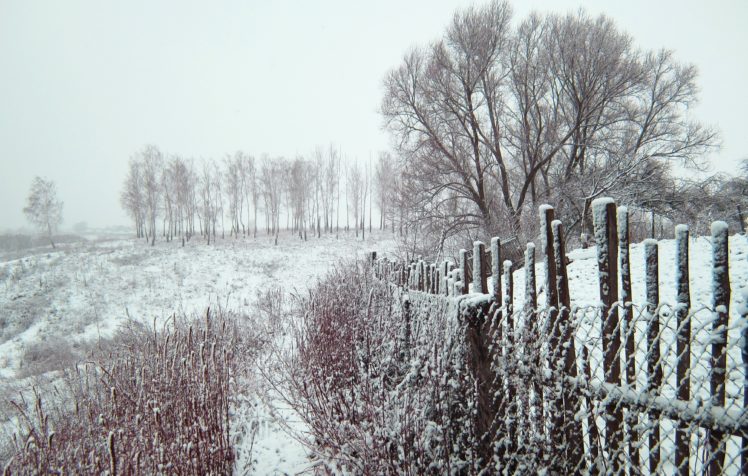 Russia, Winter, Snow, Trees, Fence HD Wallpaper Desktop Background