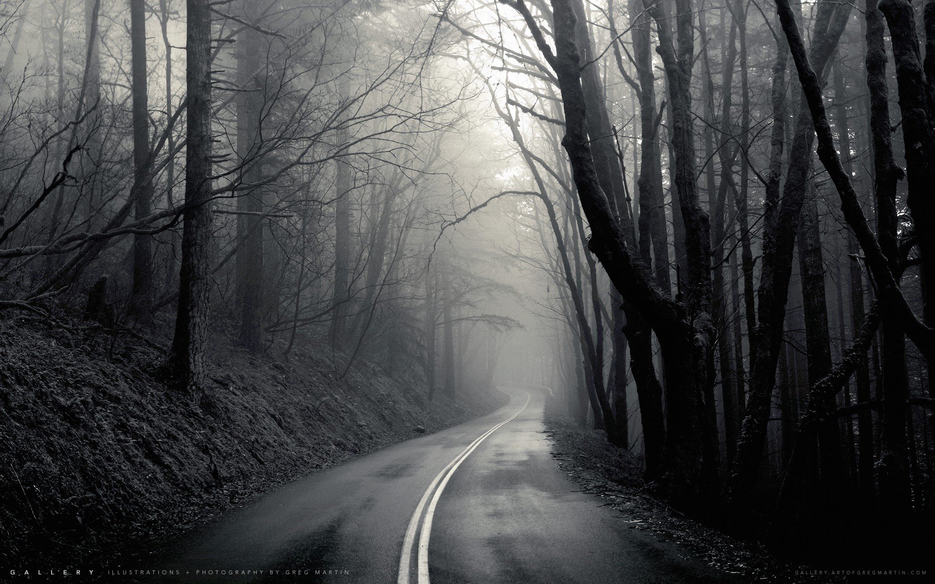 mist, Black, Road, Trees Wallpaper