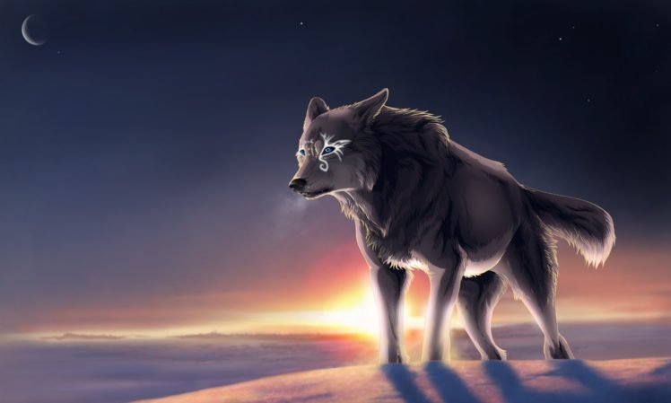wolf, Tundra, Moon HD Wallpaper Desktop Background