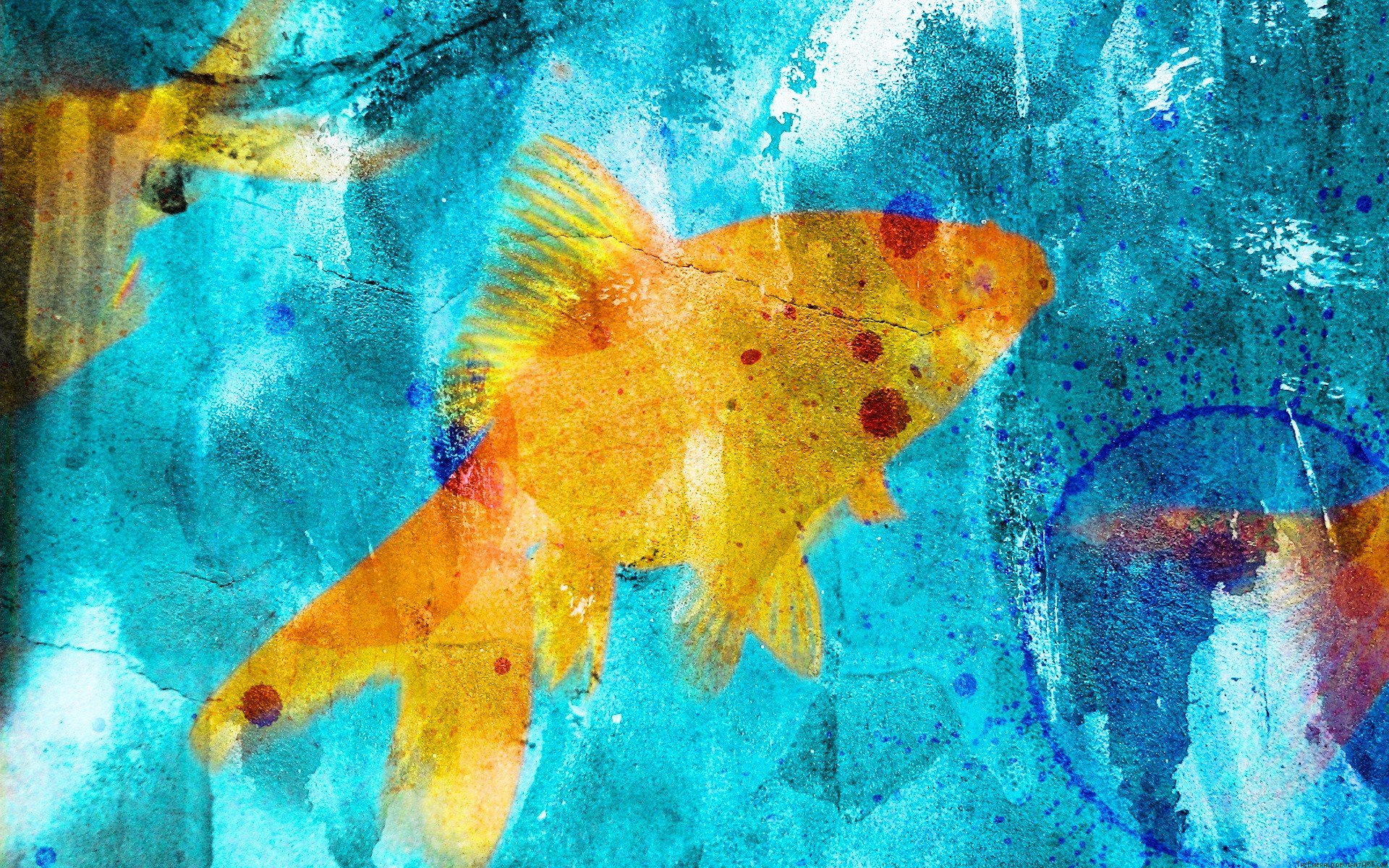 fish, Goldfish, Blue, Graffiti Wallpaper