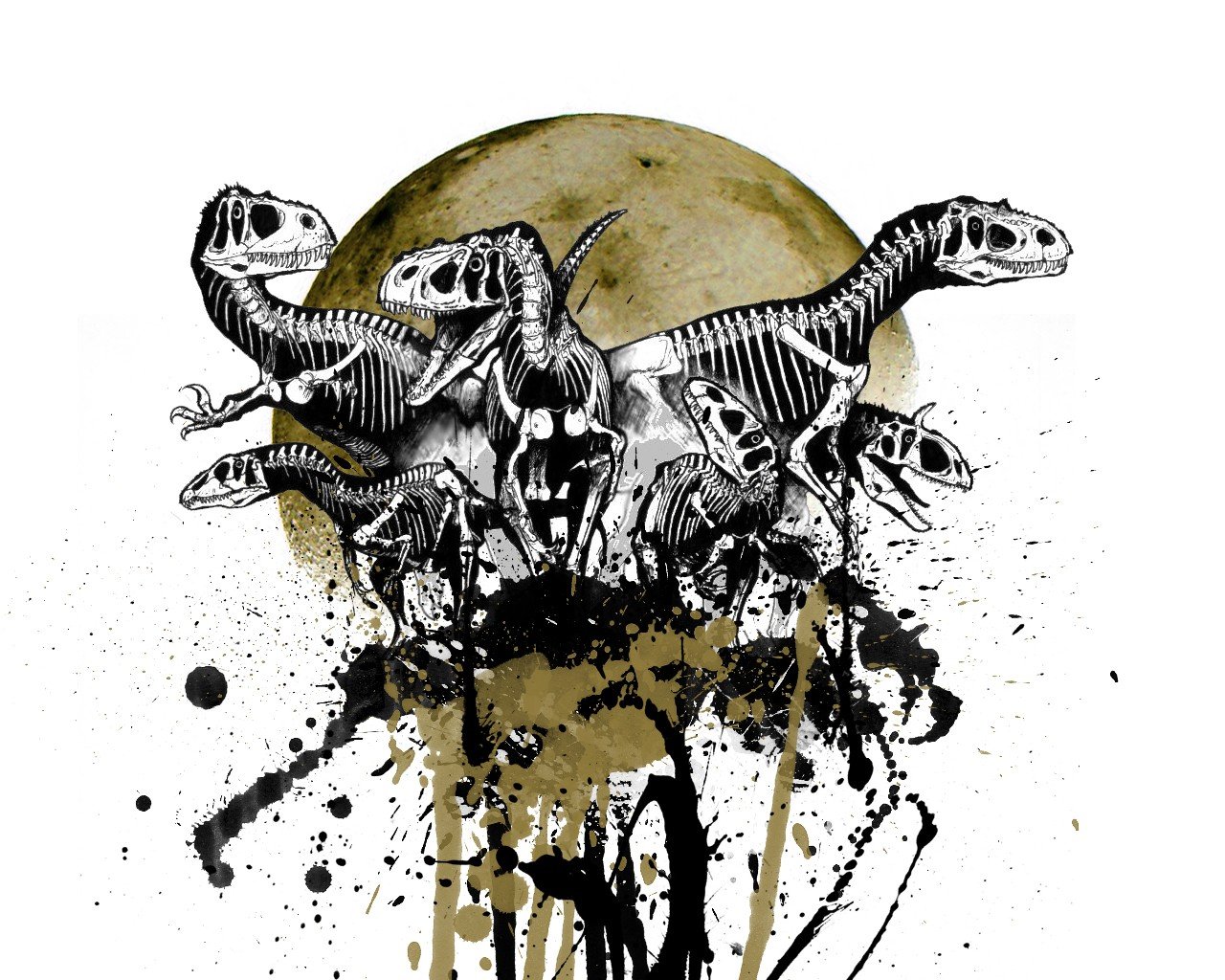 skull, Dinosaurs, Skeleton, Moon HD Wallpapers / Desktop and Mobile ...