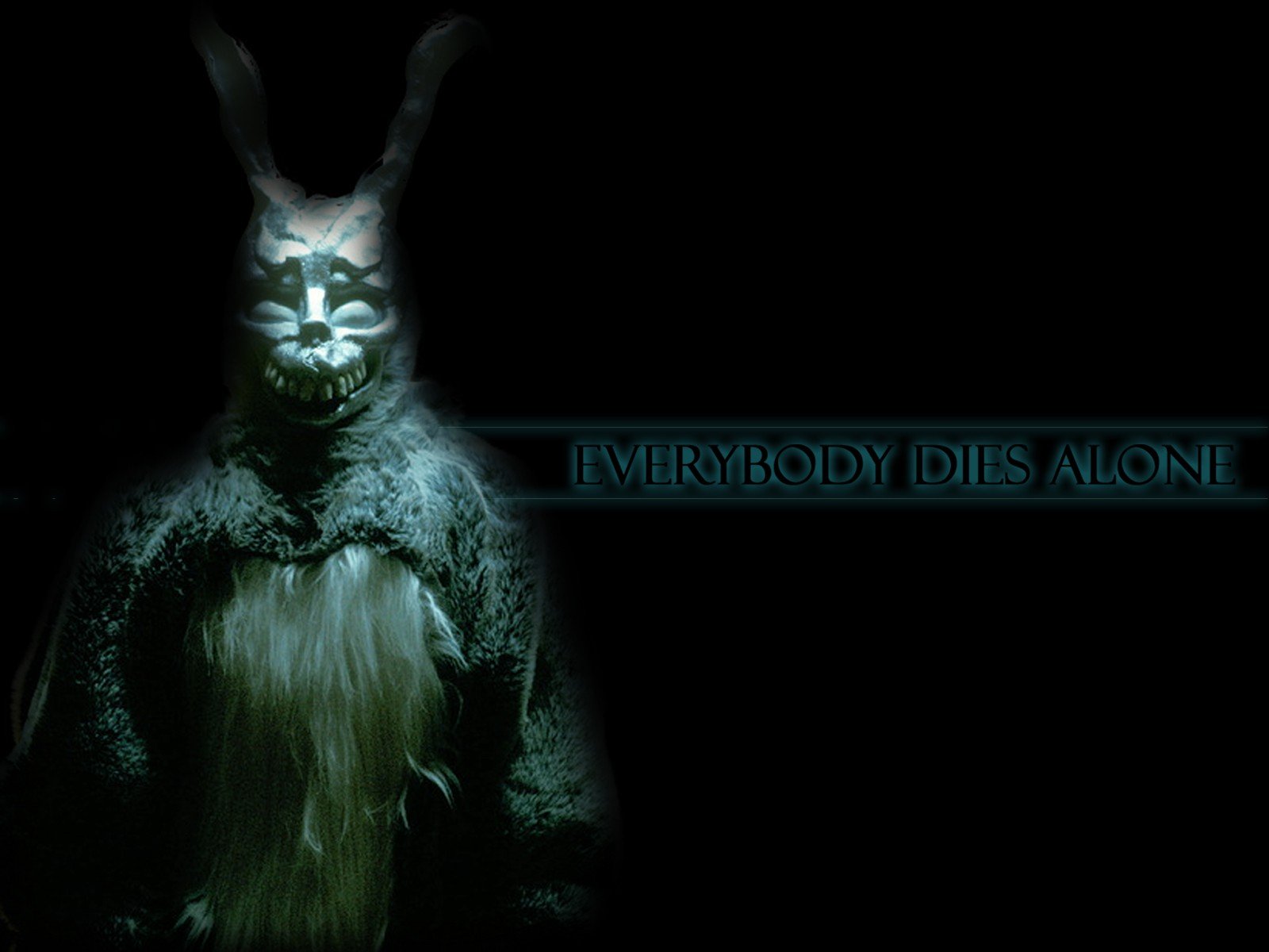 Donnie Darko Wallpaper