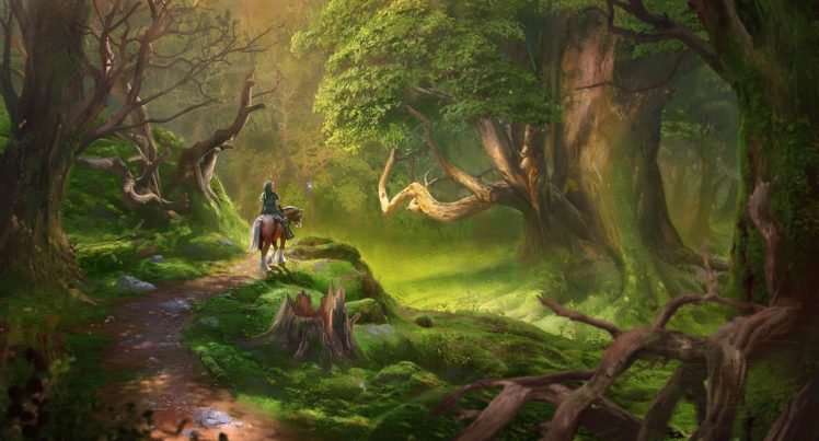 The Legend of Zelda, Link, Perona, Lost Woods HD Wallpaper Desktop Background