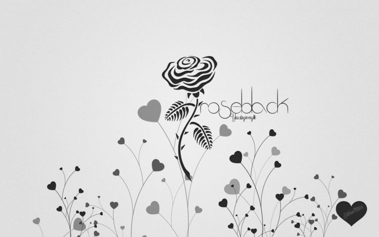 roseblack HD Wallpaper Desktop Background