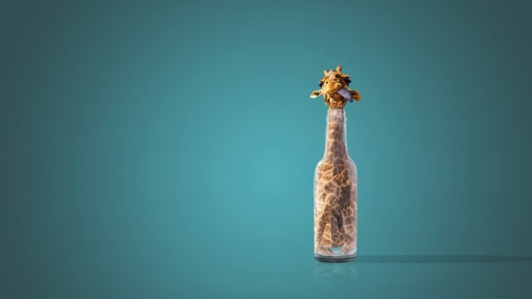 giraffes, Bottles, Tongues HD Wallpaper Desktop Background