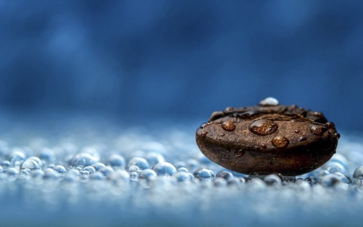 coffee beans, Water drops, Blue, Macro, Photography HD Wallpaper Desktop Background