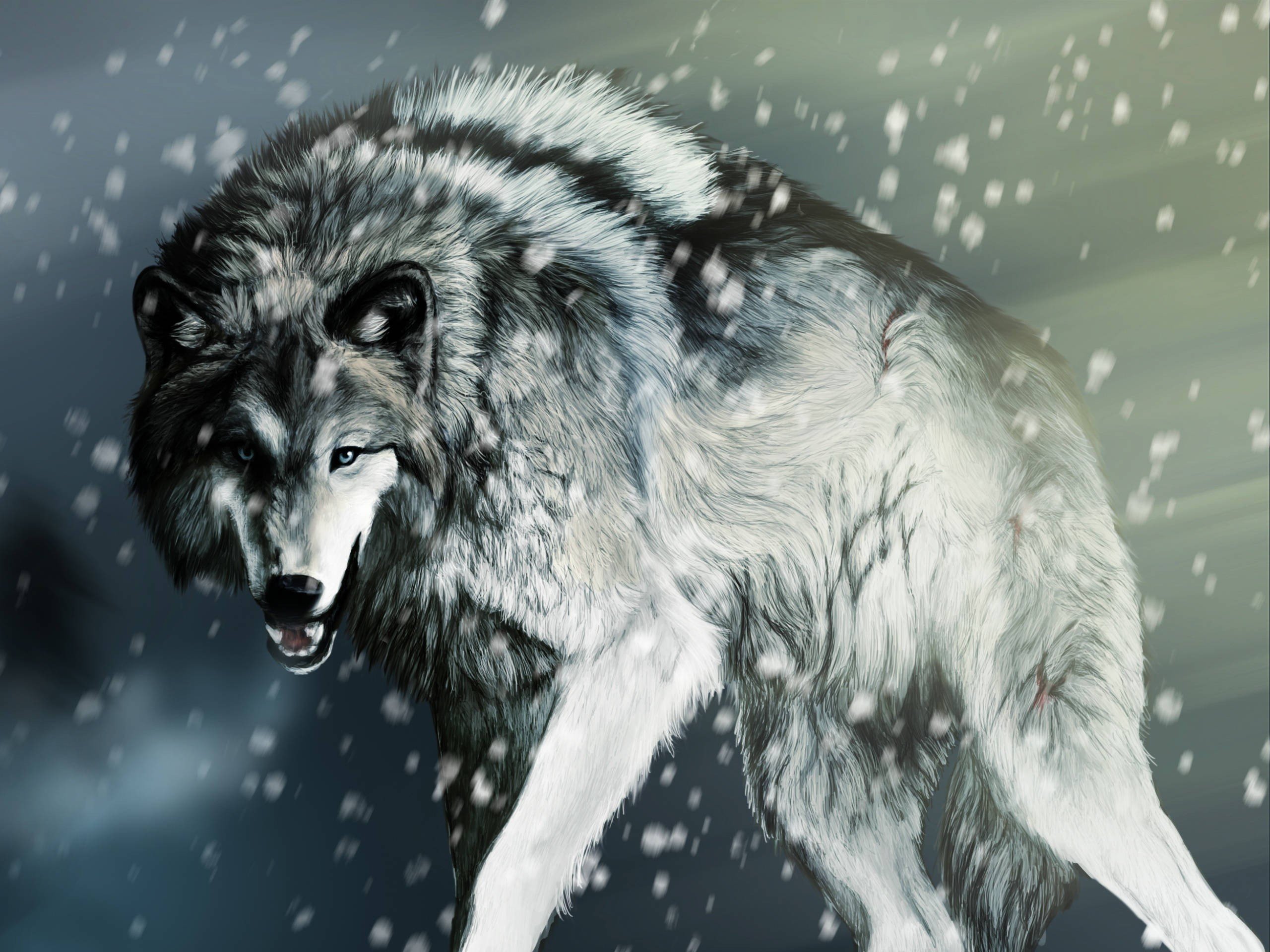wolf Wallpaper