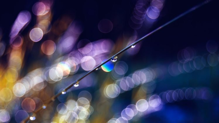 bokeh, Water drops, Photography HD Wallpaper Desktop Background