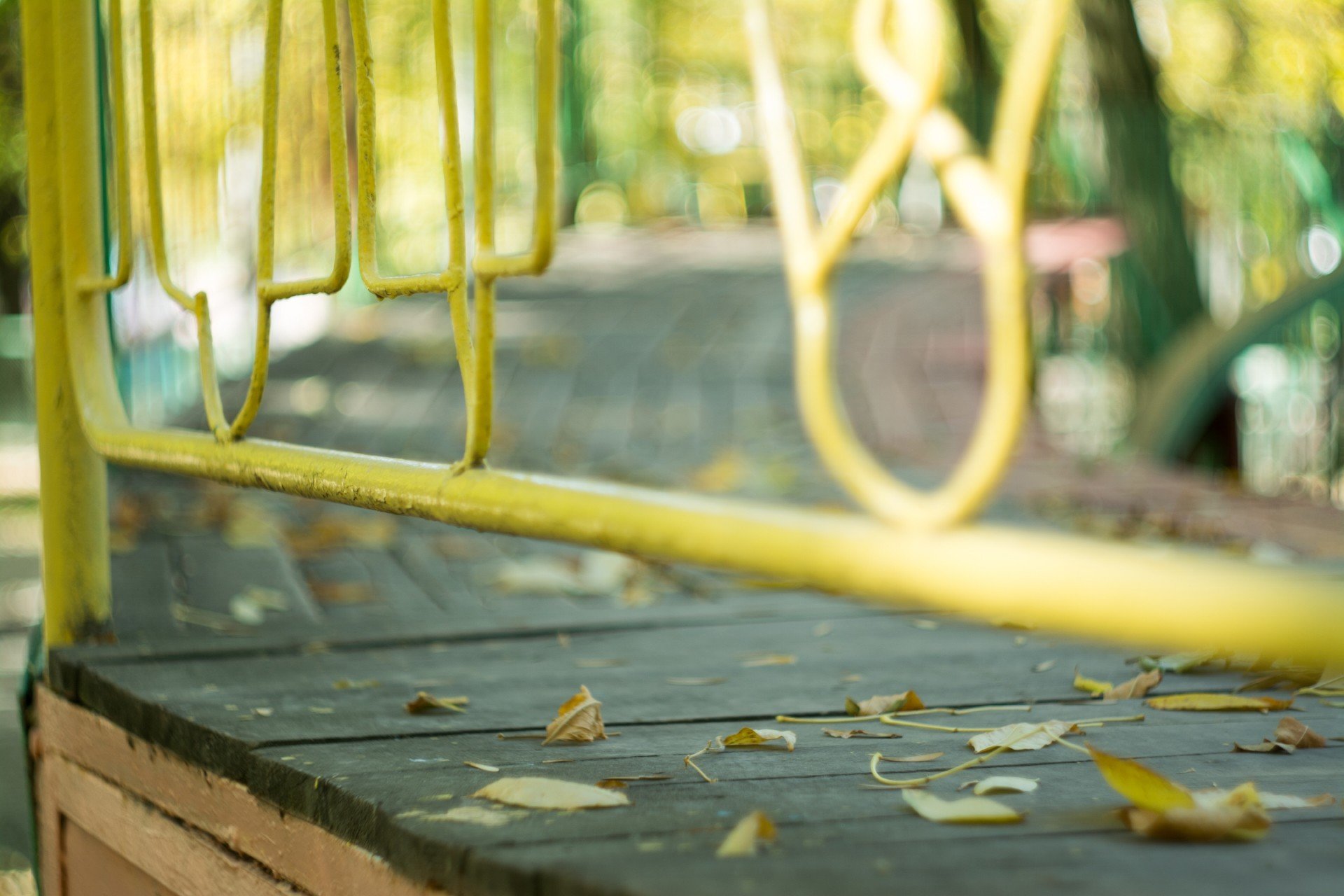 fall, Leaves, Bokeh, Yellow, Fence, Park, Wooden surface Wallpaper