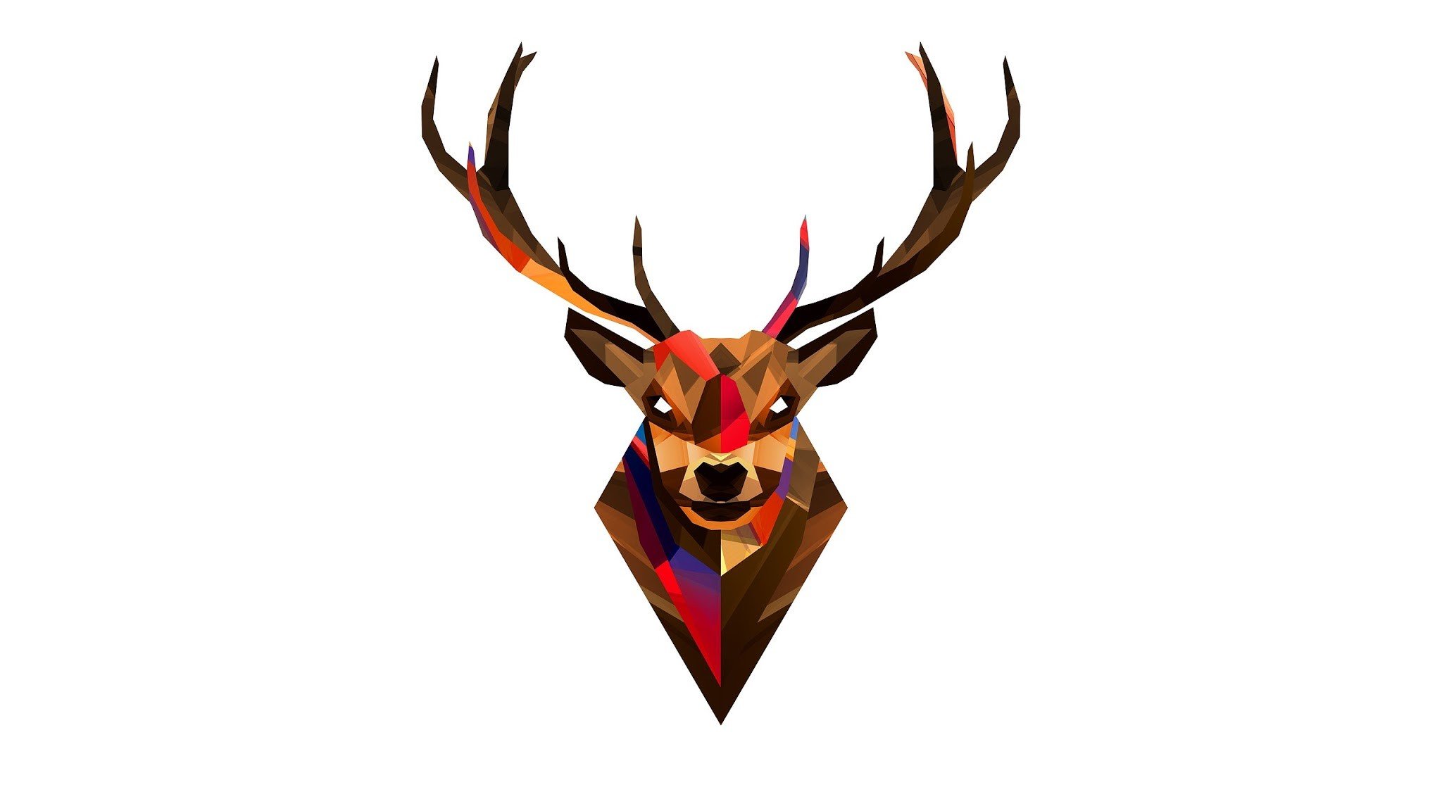 deer HD Wallpapers / Desktop and Mobile Images & Photos