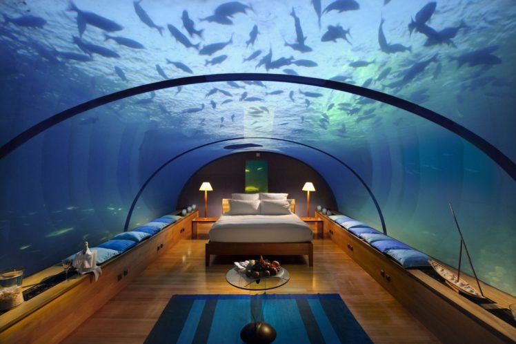 bedroom, Underwater, Fish, Aquarium HD Wallpaper Desktop Background
