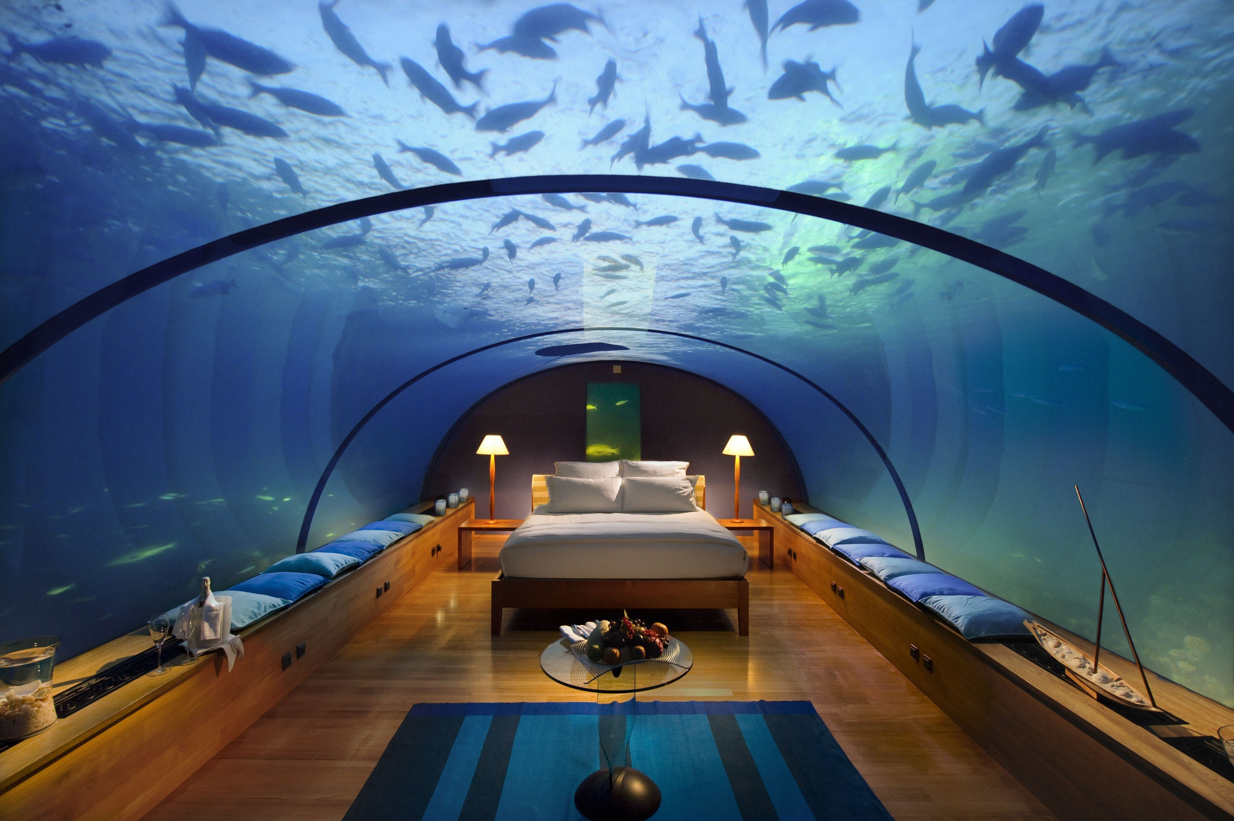 bedroom, Underwater, Fish, Aquarium Wallpaper