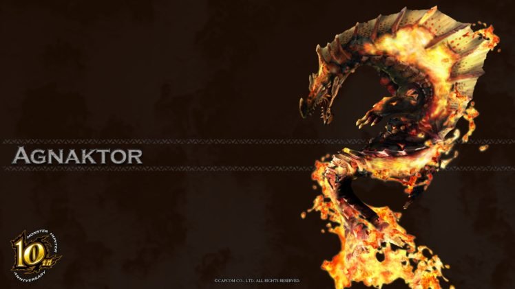 Monster Hunter, Agnaktor HD Wallpaper Desktop Background