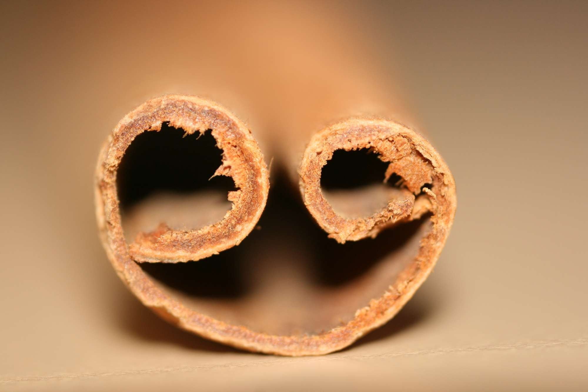 cinnamon Wallpaper