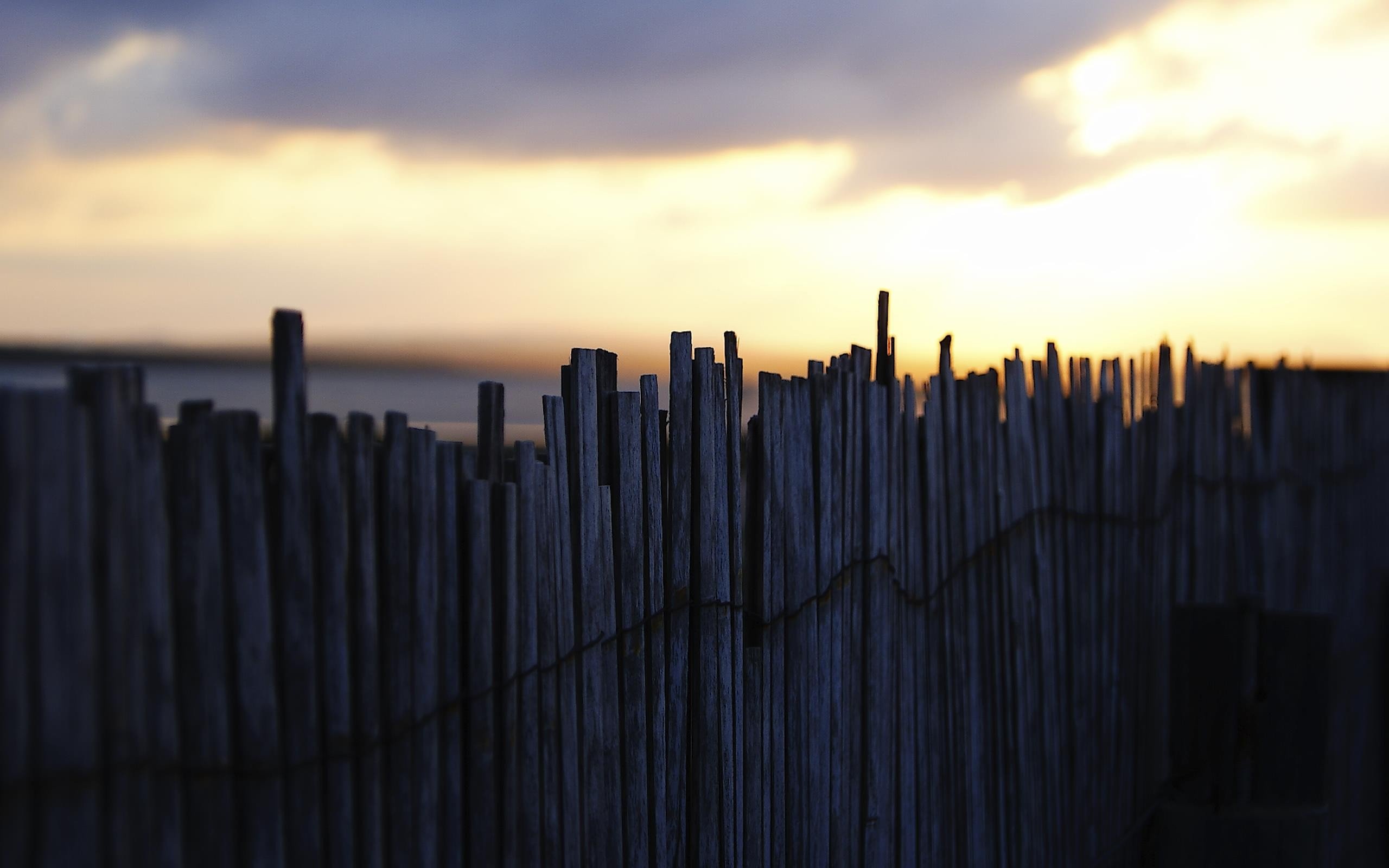 fence Wallpaper