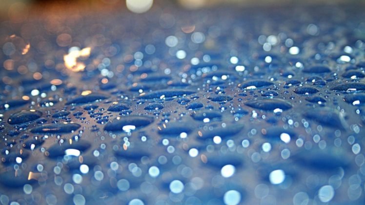water drops, Macro, Bokeh HD Wallpaper Desktop Background