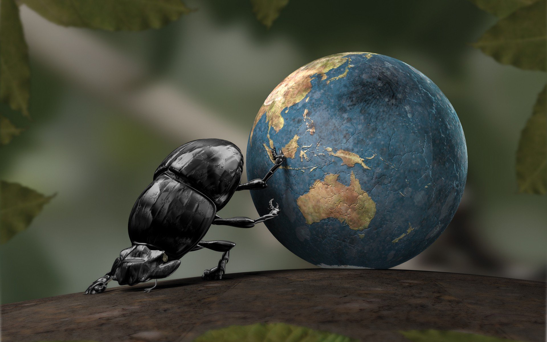 beetles Wallpaper