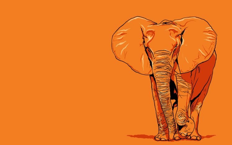 elephants HD Wallpaper Desktop Background
