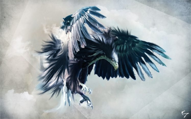 bird of prey HD Wallpaper Desktop Background