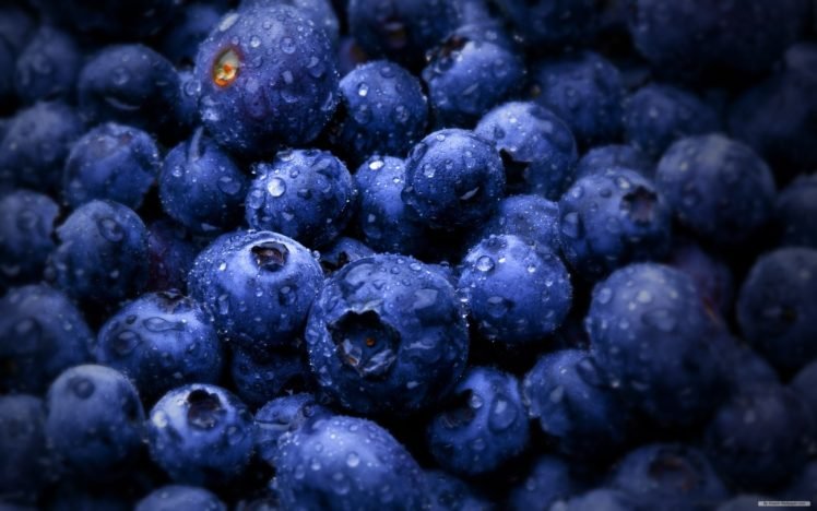 food, Fruit, Blueberries, Wet HD Wallpaper Desktop Background