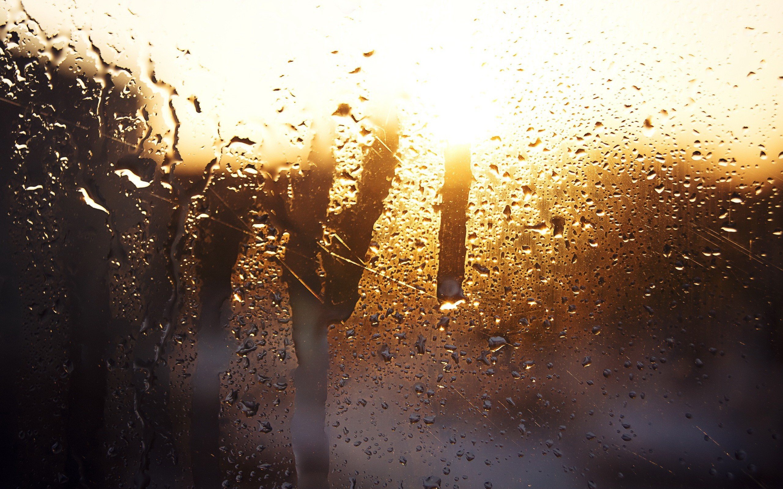 rain, Water on glass, Sunlight Wallpaper