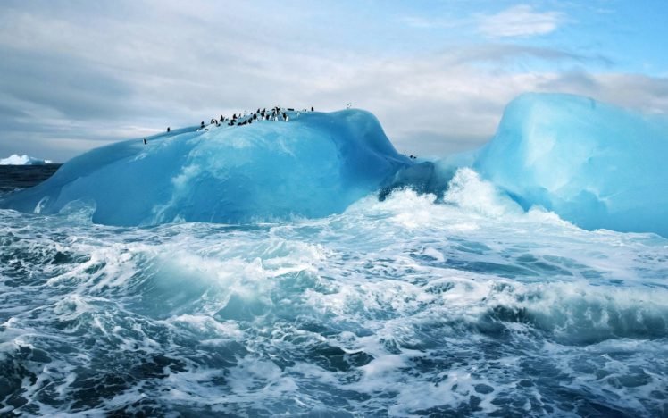 penguins, Ice, Ice berg HD Wallpaper Desktop Background