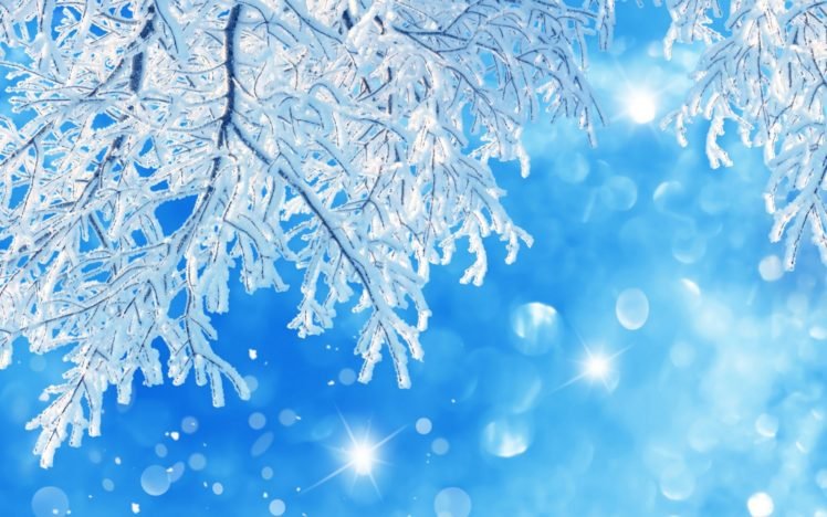 snow, Bokeh, Twigs, Frost, Sparkles HD Wallpaper Desktop Background