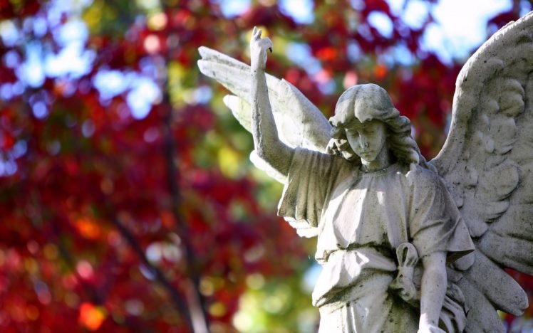 statue, Angel HD Wallpapers / Desktop and Mobile Images & Photos