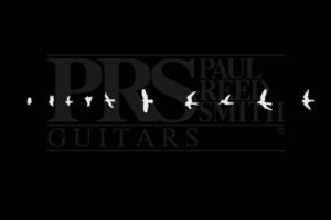 prs, Music, Guitar