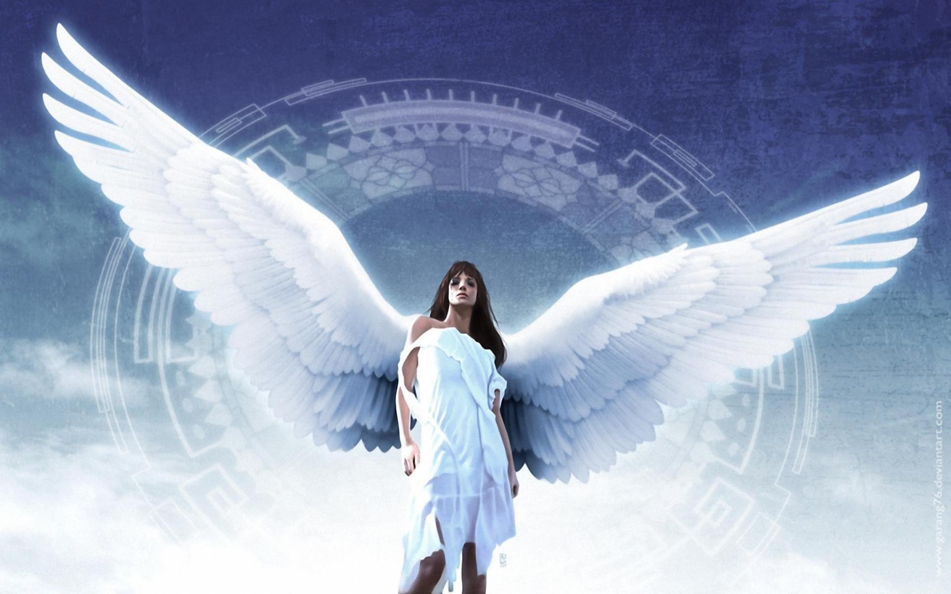 angel, Wings HD Wallpapers / Desktop and Mobile Images & Photos