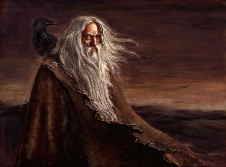 Vikings, Mythology, Odin, Huginn, Muninn HD Wallpaper Desktop Background