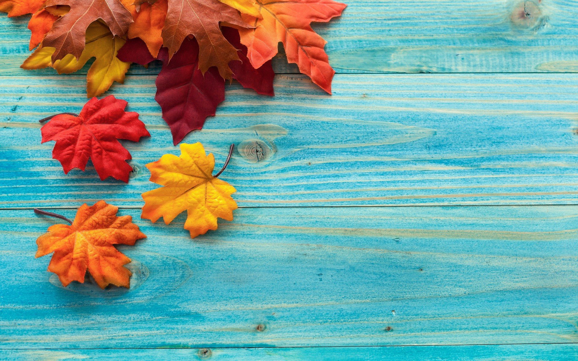 leaves, Fall, Wooden surface Wallpaper