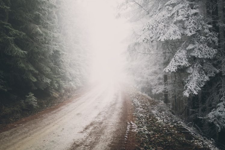 road, Snow, Mist HD Wallpaper Desktop Background