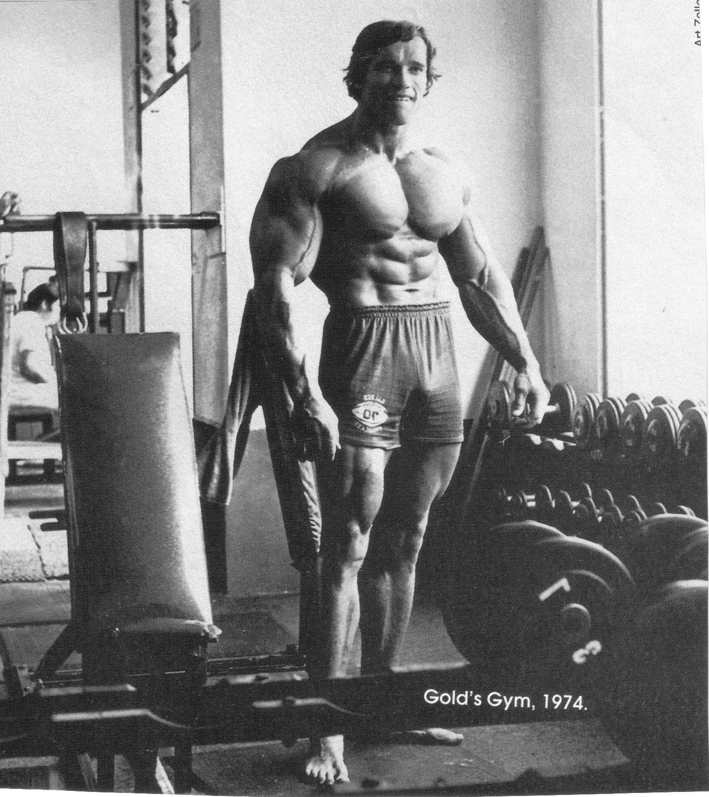 Arnold Schwarzenegger, Bodybuilding, Bodybuilder, Barbell, Dumbbells, Gyms, Exercising Wallpaper